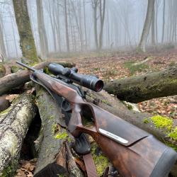 Carcasse Blaser R8 success bois