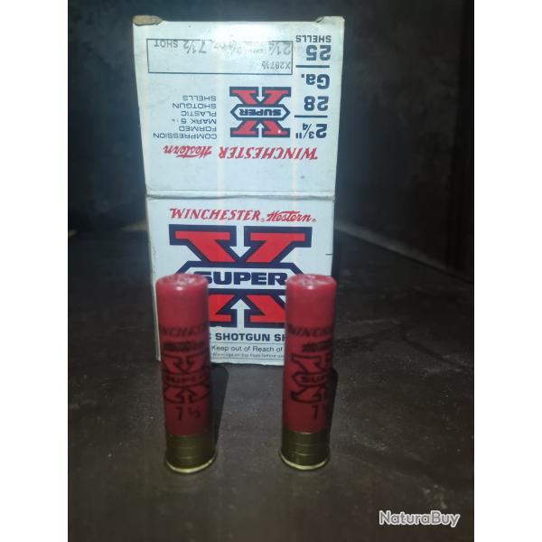Lot de munitions cal 28