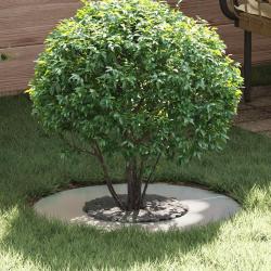 Anneaux d'arbre plats, 5 pi&egrave;ces, argent&eacute;s, pour le jardin, &Oslash; 30 / 60 cm