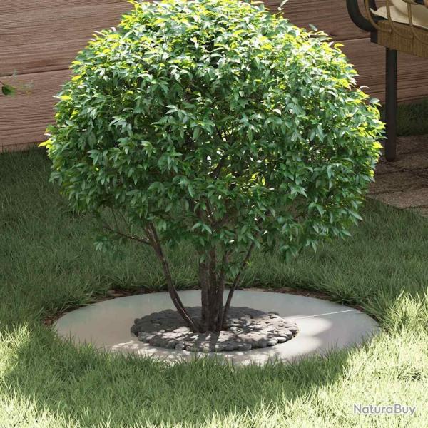 Anneaux d'arbre plats, 5 pi�ces, argent�s, pour le jardin, � 30 / 60 cm