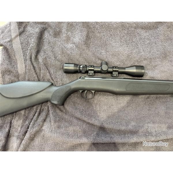 Carabine � plomb diana