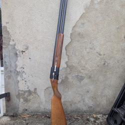 Baby bretton gaucher 12/70