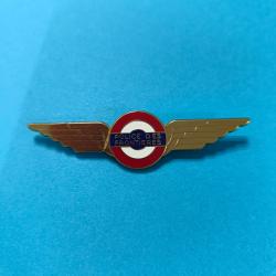 Badge ailes collection  Police des fronti&egrave;res