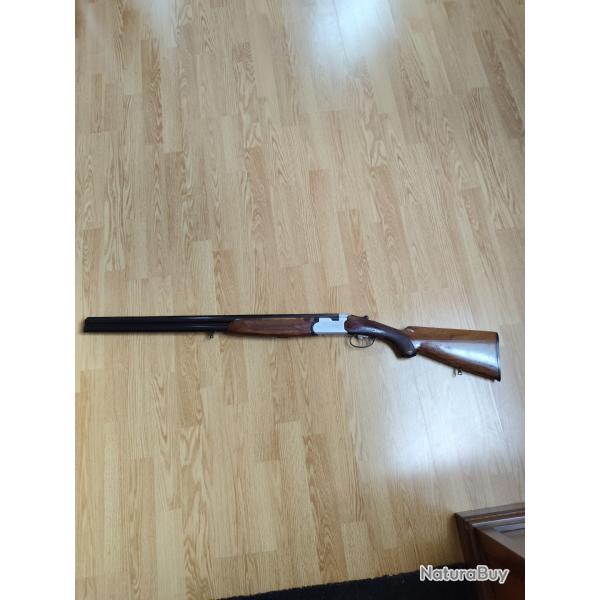 Fusil de chasse beretta