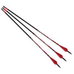 Barnett HyperFlite 20&acute;&acute; - Pack de 3 fl&egrave;ches, Lot de 3 Fleches Hyperflite Carbone 20' X3