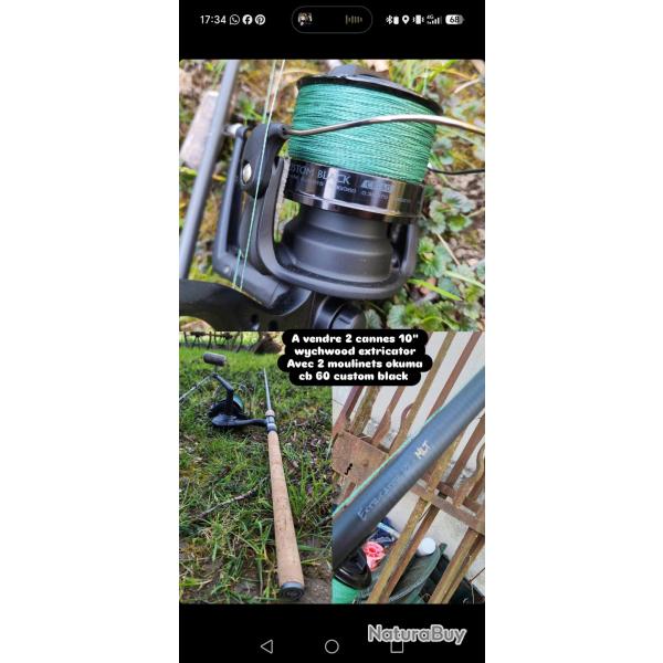 Canne � carpes 10" et moulinet