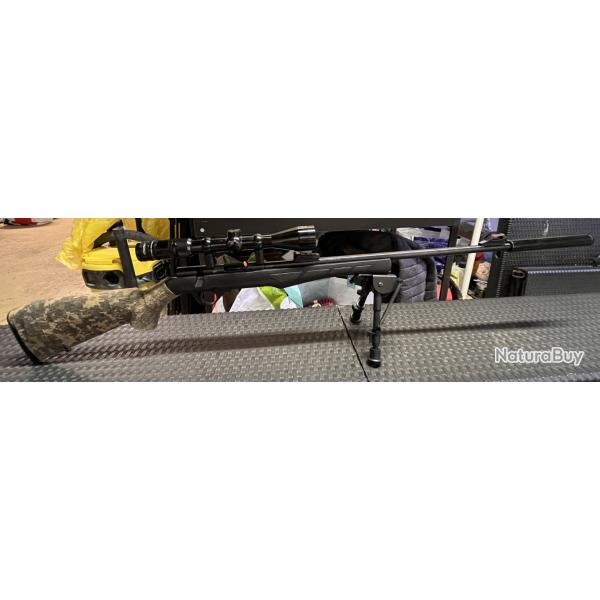 carabine .22 lr rossi