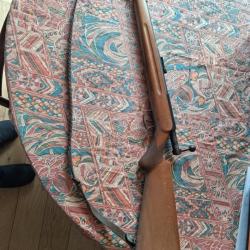 Carabine 22LR