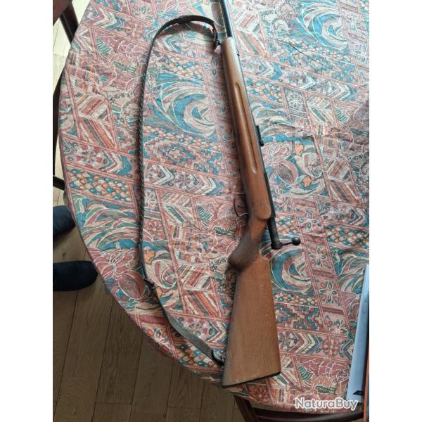 Carabine 22LR