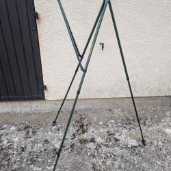 Canne de pirsch
