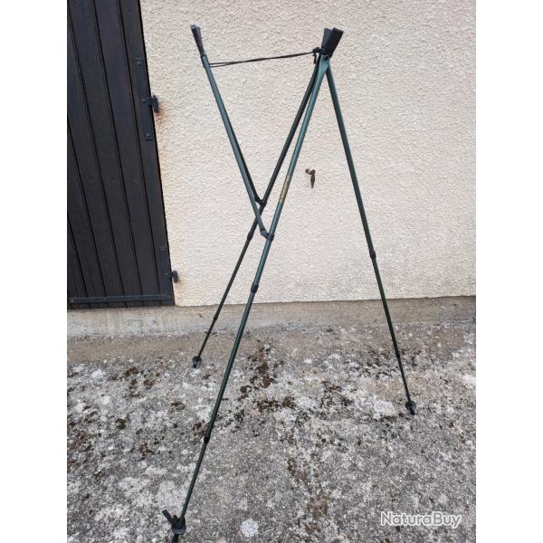 Canne de pirsch