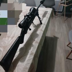 Carabine 243