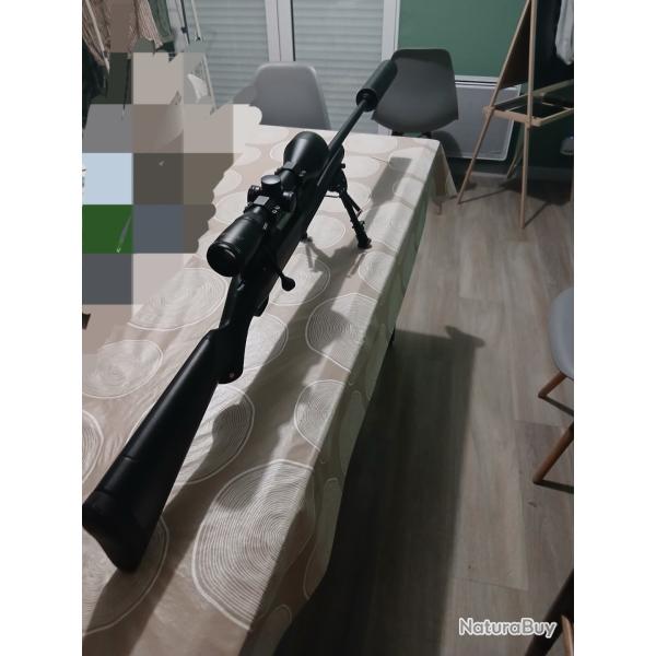 Carabine 243