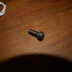 Vis de Plaque de recouvrement de revolver r&eacute;glementaire 1873