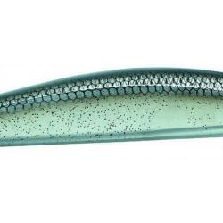 Poisson nageur ENGAGE Loader minnow FW 95 SP BKS