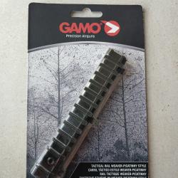 Rail de conversion picatinny  Gamo