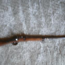 fusil albini