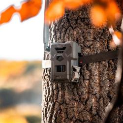 SPYPOINT CAMERA FLEX-M CELLULAIRE