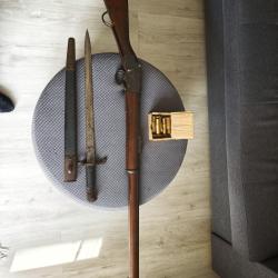 Superbe Ensemble Martini-Henry Mk IV Pattern 1 (Enfield 1888) + Ba&iuml;onnette P1887 � Canon TB