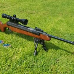 Daina mod. 48 + lunette