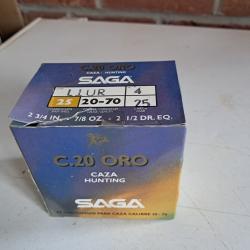 Saga