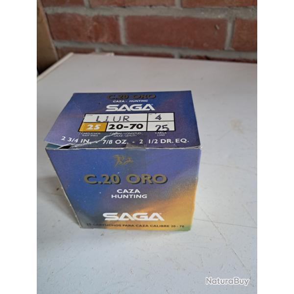 Saga