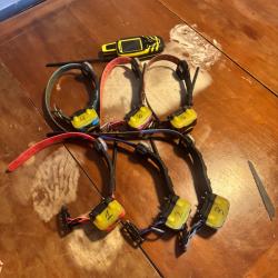 GPS hybride pour chien . Central evomap 3000 avec 6 colliers 5300 avec modules de dressages