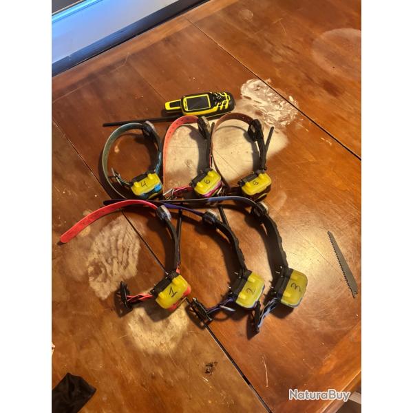 GPS hybride pour chien . Central evomap 3000 avec 6 colliers 5300 avec modules de dressages
