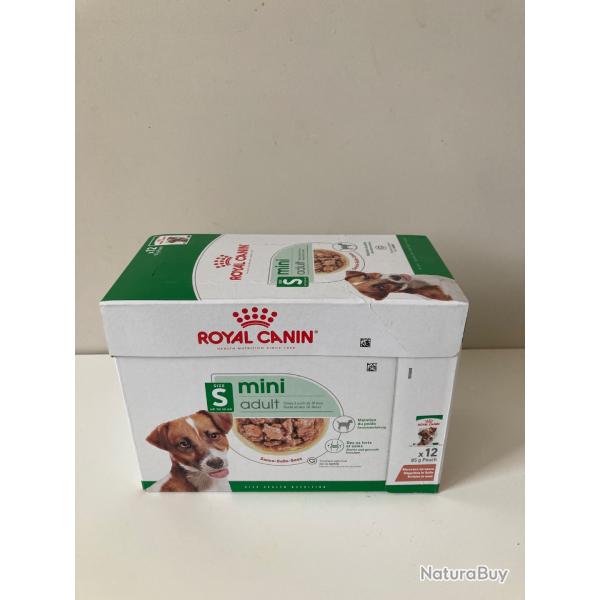 Nourriture humide pour chien