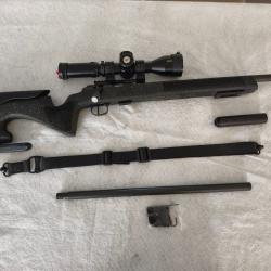 CZ 457 22Lr + Canon 17HMR