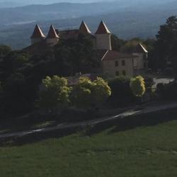 Chasse Approche et Affut en Provence
