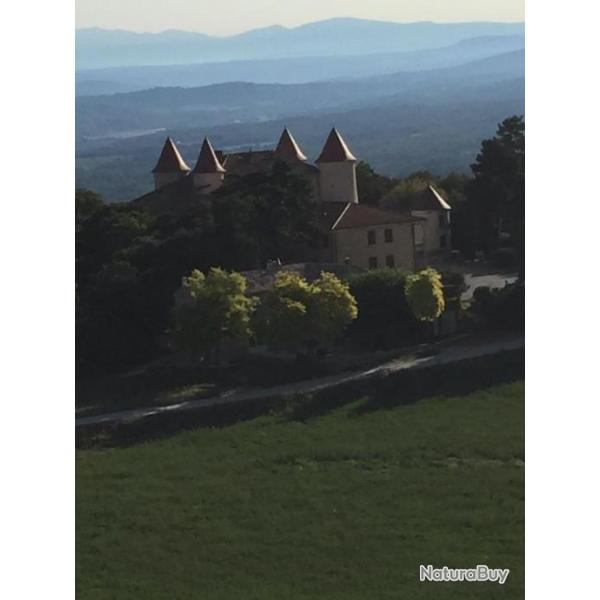 Chasse Approche et Affut en Provence