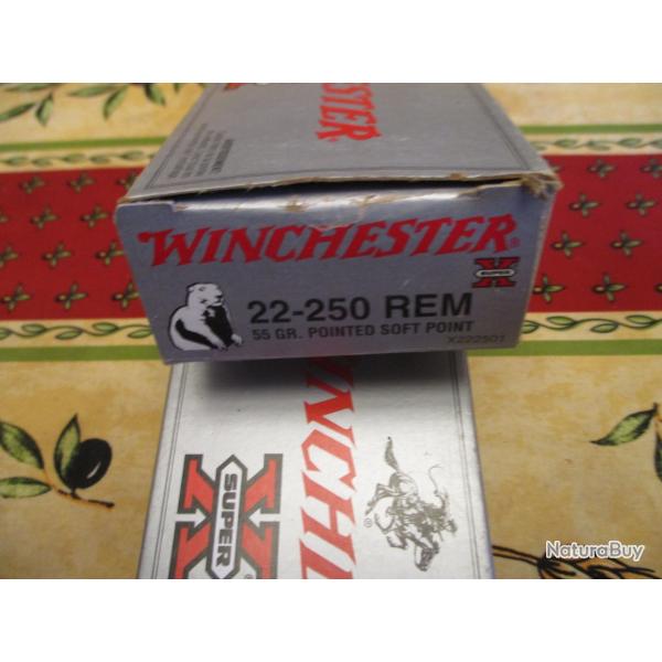 Vends Lots de douilles 22-250 remington
