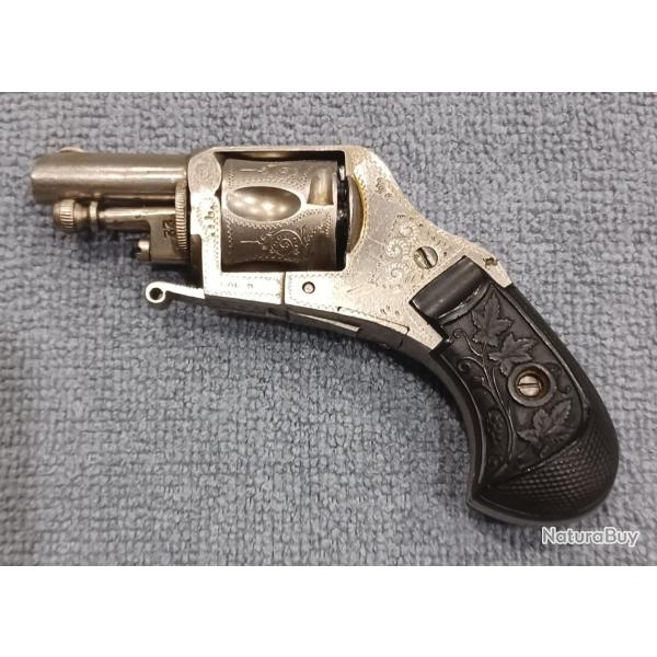Revolver bulldog puppy