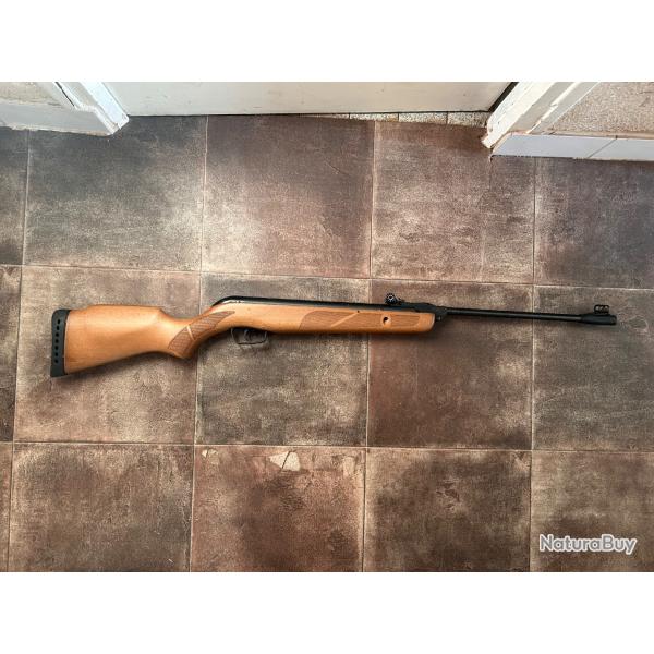 carabine gamo forest 4,5mm 14J