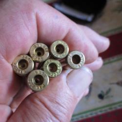 Vends Lot de Douilles 222 remington