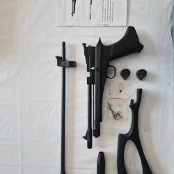 Pistolet Artemis CP2