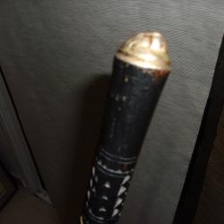 Canne &eacute;p&eacute;e