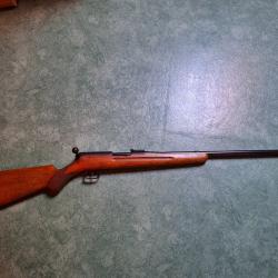 Carabine MAS 22lr