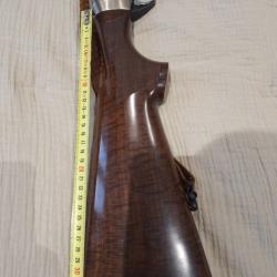 Benelli raffaello