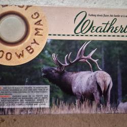 1 boite de 20 cartouches 300 weatherby magnum