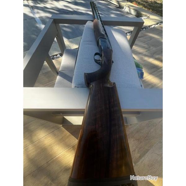 vend rizzini br 440