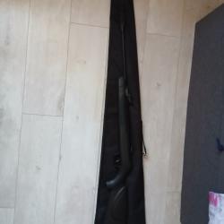 Carabine a plomb