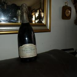 BOUTEILLE DE TRES VIEILLE FINE de la MARNE