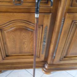 canne fusil