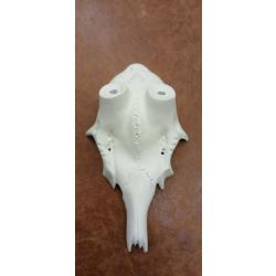 Cr&acirc;ne articiel aluminium de Chevreuil meule 24mm