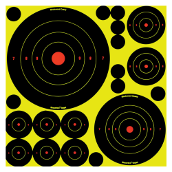Birchwood Casey Lot de 5 cibles avec 10 bull's eye 200 g - Autre