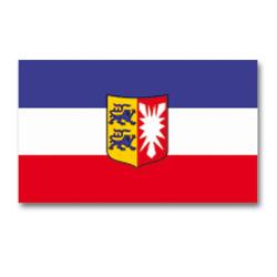 Drapeau du Land de Schleswig-Holstein Mil-Tec en polyester - Autre