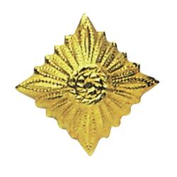 &Eacute;toile de grade de l'arm&eacute;e est-allemande en m&eacute;tal, plusieurs - Or