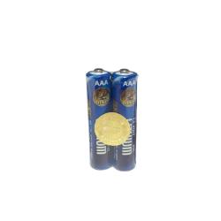 Lot de 2 piles lithium AAA 1,5 V ASP &agrave; protection PTC - Autre